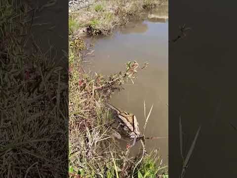 É Difíçu eu entrar!!