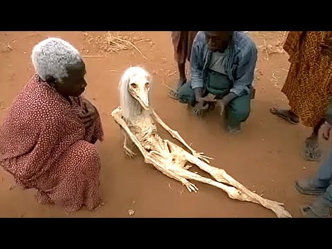 15 Creepy Discoveries In Congo That Terrified The Whole World