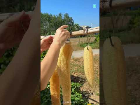 Turning Loofah Into Art 🎨