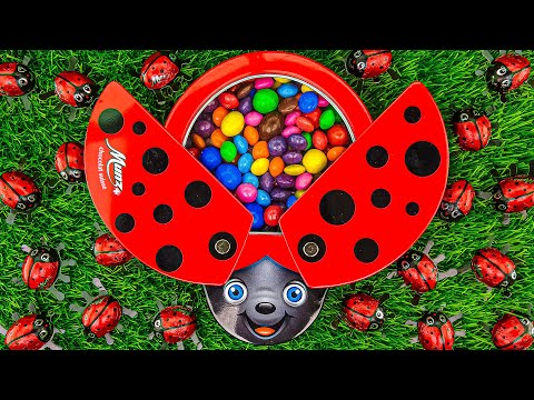 Best Satisfying ASMR | Glossy Fruit & Rainbow M&M's with LadyBug Full of Skittles Candy #779