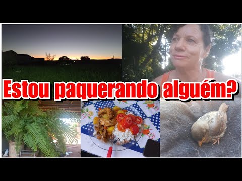 ESCLARECENDO A POLÊMICA + EU FIZ RESPIRAÇÃO BOCA A BOCA NELE! Vlog ❤️