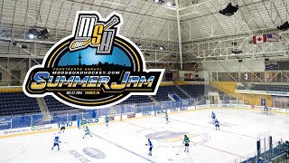 14th Annual MSH SummerJam