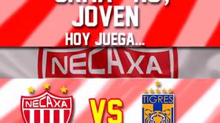 El color del partido... Necaxa vs Tigres | Liga Mx Jornada 7