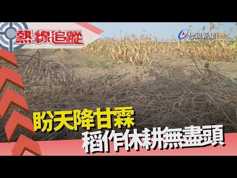 熱線追蹤 - 缺水休耕 農民首當其衝 - YouTube