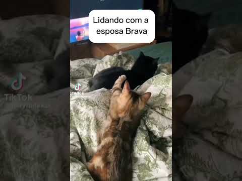 Tem dias que os dias passam devagar kkkk #casal #fyy #fy #funny