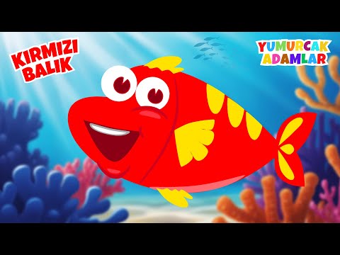 Kırmızı Balık Gölde 🐠 Çocuk Şarkıları 🎶 Sar Sar Sar Makarayı 🧵 5 Küçük Ördek 🐣 Çizgi Film ❤️