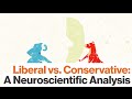 Understanding Political Brain Structures