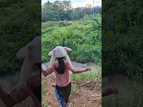 kaka lari lari ternyata ikan nya lepas #trending