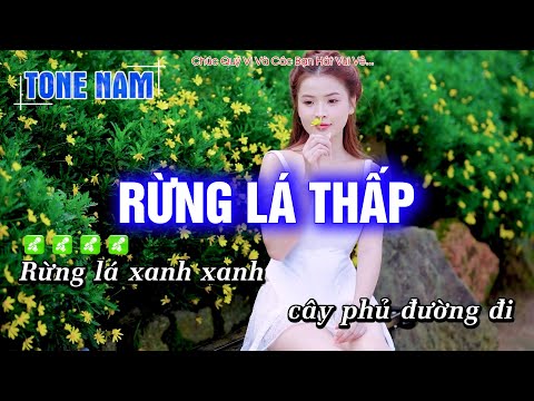 Karaoke Rừng Lá Thấp (Tone Nam) Beat Công Tuấn cực hay – Hoàng Dũng Karaoke