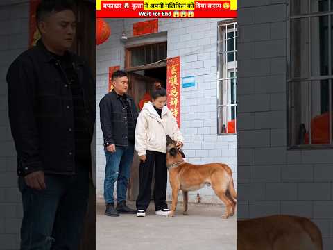 बफादार 🐶 कुत्ता ने अपनी मलिकिन को दिया कसम 🥺🥺🥺 #shorts #youtubeshorts #viral