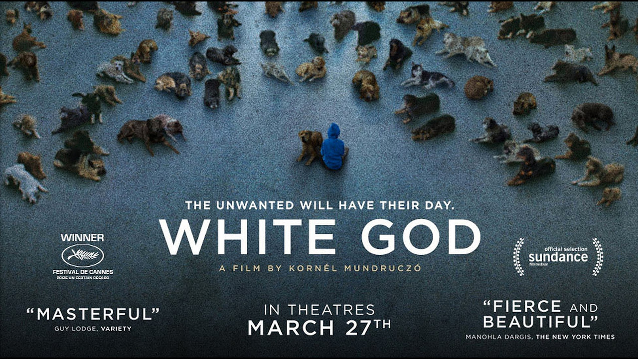 White God - Sinfonia per Hagen anteprima del trailer