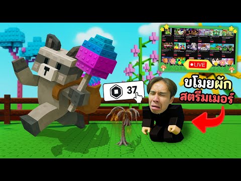 โดเนทสตรีมเมอร์ หลอกเข้าเซิฟส่วนตัวแล้วขโมยผลไม้!! Grow a Garden Roblox
