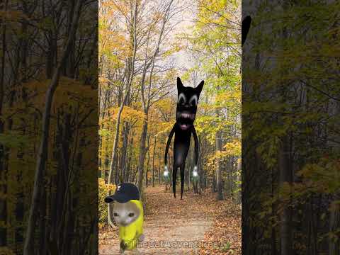 Banana Cat Loves Running #bananacat #happycat #catmemes #catfunny #happyhappy