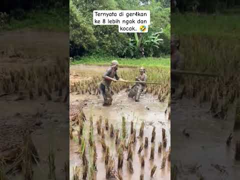 k 8 bikin... 🤣 #shortviral #comedy #ngakak #gudanghiburan #lucu #viral