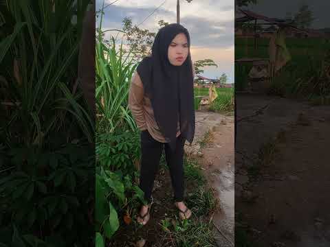 Gak perlu beli mesin cuci #shorts #comedy #trending #funny