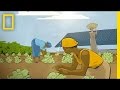 Solar Energy Impact on Communities