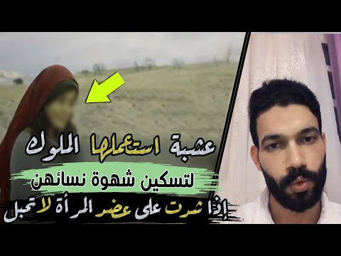 عشبة  استعملها  الملوك | لتسكين شهوة نسائهن ، إذا شدت على عضد المرأة لا تحبل