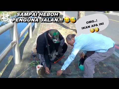 Terpesona..! saat mancing dapat ikan besar sampai di samperin