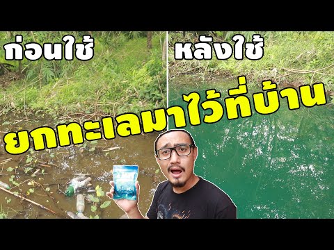 ผงมหัศจรรย์ เปลี่ยนน้ำคลองเป็นทะเล! | รีวิวของเจ๋งๆ | เพื่อนซี้ ตัวแสบ 👓