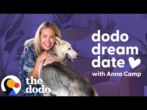 Anna Camp Goes On A Dodo Dream Date | The Dodo