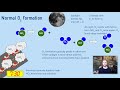 Understanding Photochemical Smog