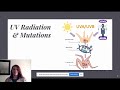 Mutagens and Carcinogens in Health