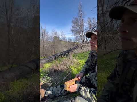 The best turkey call     #trending #youtubeshorts #california #foryou