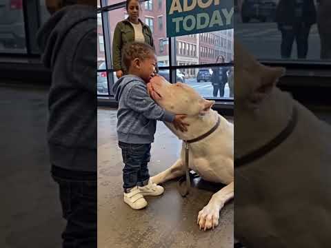 He Was Bigger Than Everyone… But Melted For One Little Boy