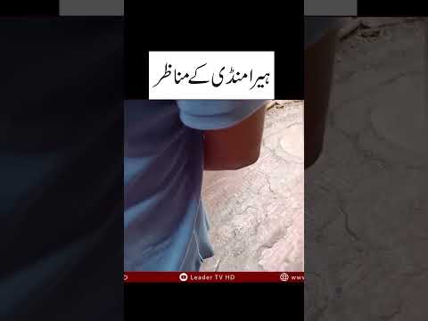 | Leader TV HD |
