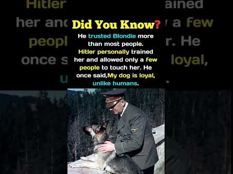 Hitler Trusted His Dog Blondi More Than Most Humans #shorts #hitler #usa