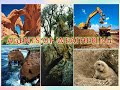 Weathering Processes and Human Impact