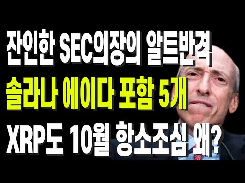 잔인한 SEC의장의 알트반격 솔라나 에이다 포함 5개 XRP도 10월 항소조심 왜?