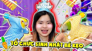 KAMUI TỔ CHỨC SINH NHẬT 1 TUỔI CHO BÉ KẸO - TIẾT LỘ GIỚI TÍNH BÉ KẸO LÀ ...