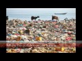 Understanding Land Pollution