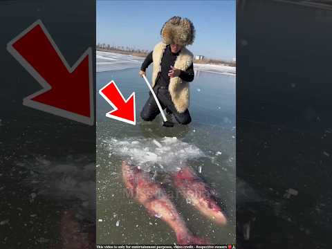 ये आदमी मछली की बर्फ से जान बचाता लेता है || ice fish || #shortsvideo