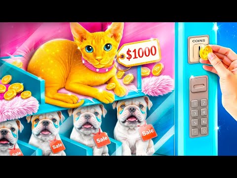 Nous Construisons une Pièce Secrète pour Animaux de Compagnie! Chat Riche contre Chien Pauvre!