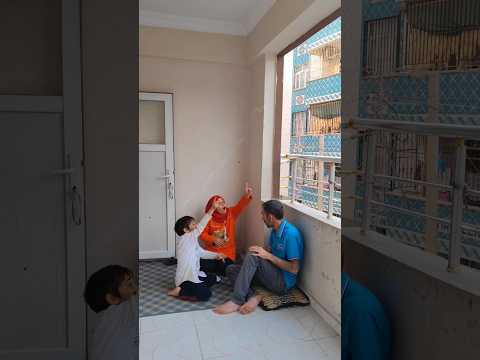 geliyor geliyor ?? #funnycomedy #comedymovies #youtubeshorts #halilbzdag63 #funny