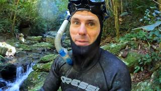 A DANGEROUS mission for GOLD in Far North Queensland!!