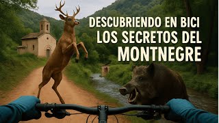 Lo que esconde este bosque te sorprenderá (DÍA 1)