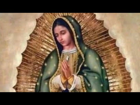 A la Santísima Virgen María de Guadalupe - Devoción