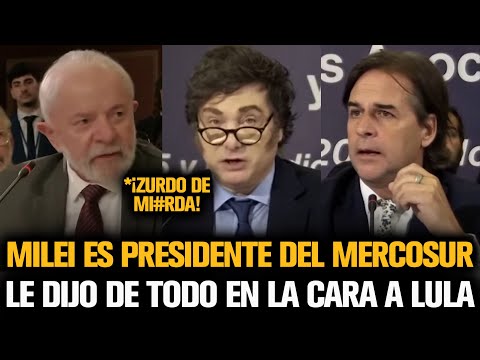 MILEI ES PRESIDENTE DEL MERCOSUR Y LE DIJO DE TODO EN LA CARA A LULA