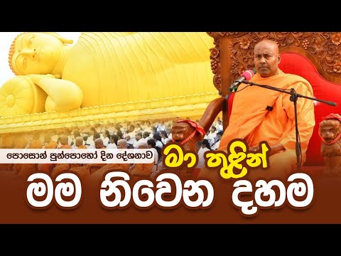 මා තුලින් මම නිවෙන දහම | පොසොන් පුන්පොහෝ දින දේශනාව