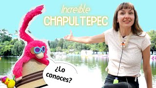 Secretos y Rarezas de Chapultepec | Curiosidades, Lugares Ocultos y los Famosos Changos "Miones" 🐒