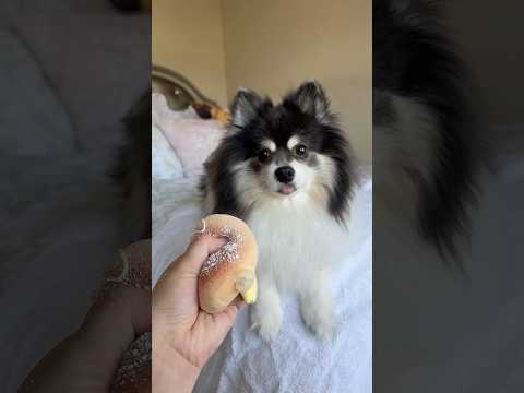 It EXPLODED like THIS?!🍩😳 Part 2??‼️ #slime #donut #satisfying