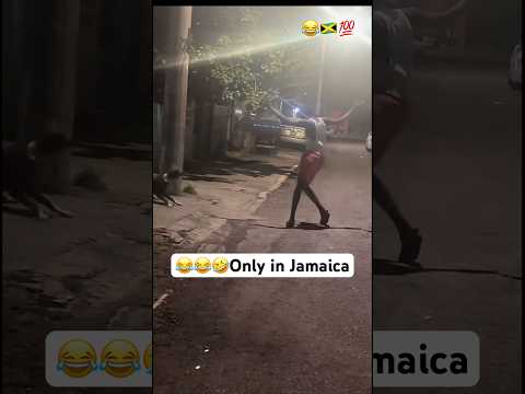 😂😂😂Jamaican dogs attack the wrong person #jamaica #jamaican #funny #shortvideo #viral