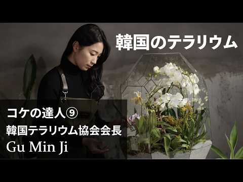 【コケの達人 ⑨】韓国テラリウム協会インタビュー #185