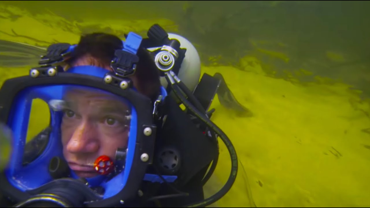 Diver Has Lucky Escape From Crocodile Super Giant Animals BBC Earth