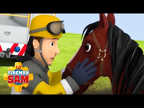 ¡Sam salva un caballo! | Sam el Bombero en Espanol |  Dibujos animados