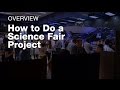 Science Fair Project Guide