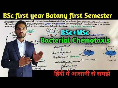 Bacterial Chemotaxis || Chemotaxis in Bacteria || BSc first year Botany || MSc || MSc Entrance